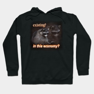 Economy Raccoon Meme Hoodie